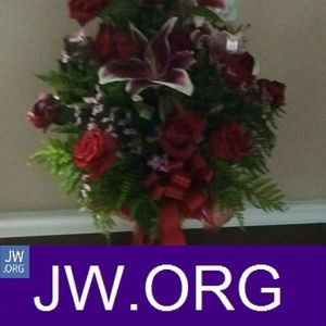 Meet your Posher, Veronica